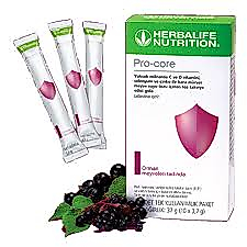 Pro-core Orman Meyveleri Tadında 37 g